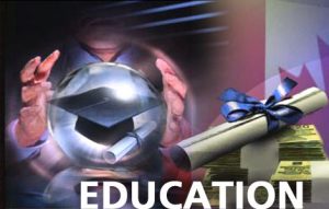 education website