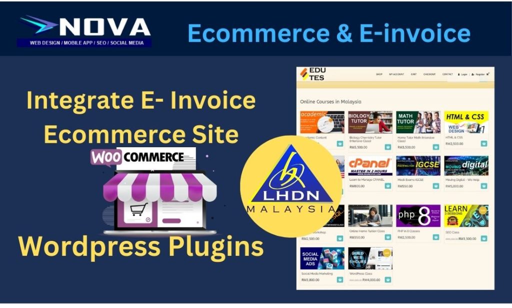 Ecommerce Website Einvoice Integration