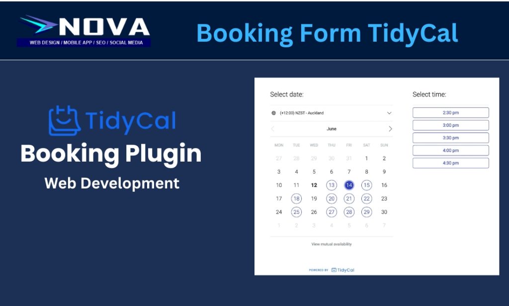 Is TidyCal Booking Form A Good Choice